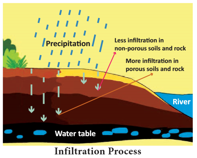 Infiltration Simple Hydrological Cycle Notes 8th Social Science - WINMEEN