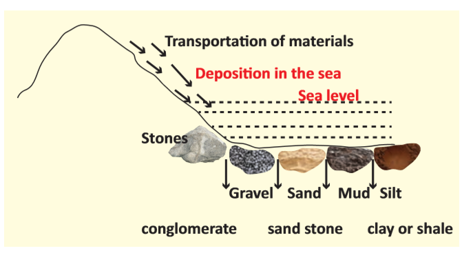 Organic Solids Rocks Rocks and Soils Notes 8th Social Science - WINMEEN