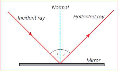 Light Notes 8th Science Lesson 3 Notes in English - WINMEEN